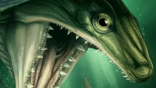 researchers-discover-ancient-predatory,-fanged-fish-that-swam-in-nova-scotia-waters