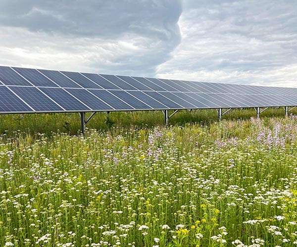 research-shows-how-solar-arrays-can-aid-grasslands-during-drought