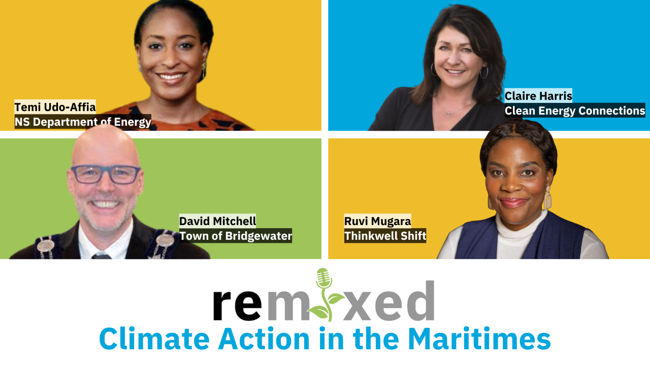 Remixed: Climate Action Part 2